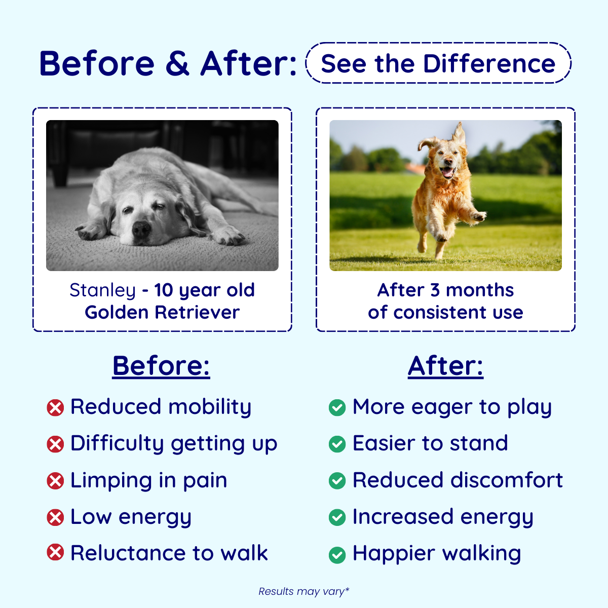 Joint Care Dog Chews