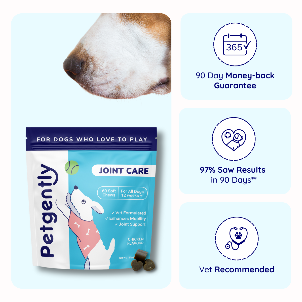 Dog joint care supplements with promotional free gift offer.