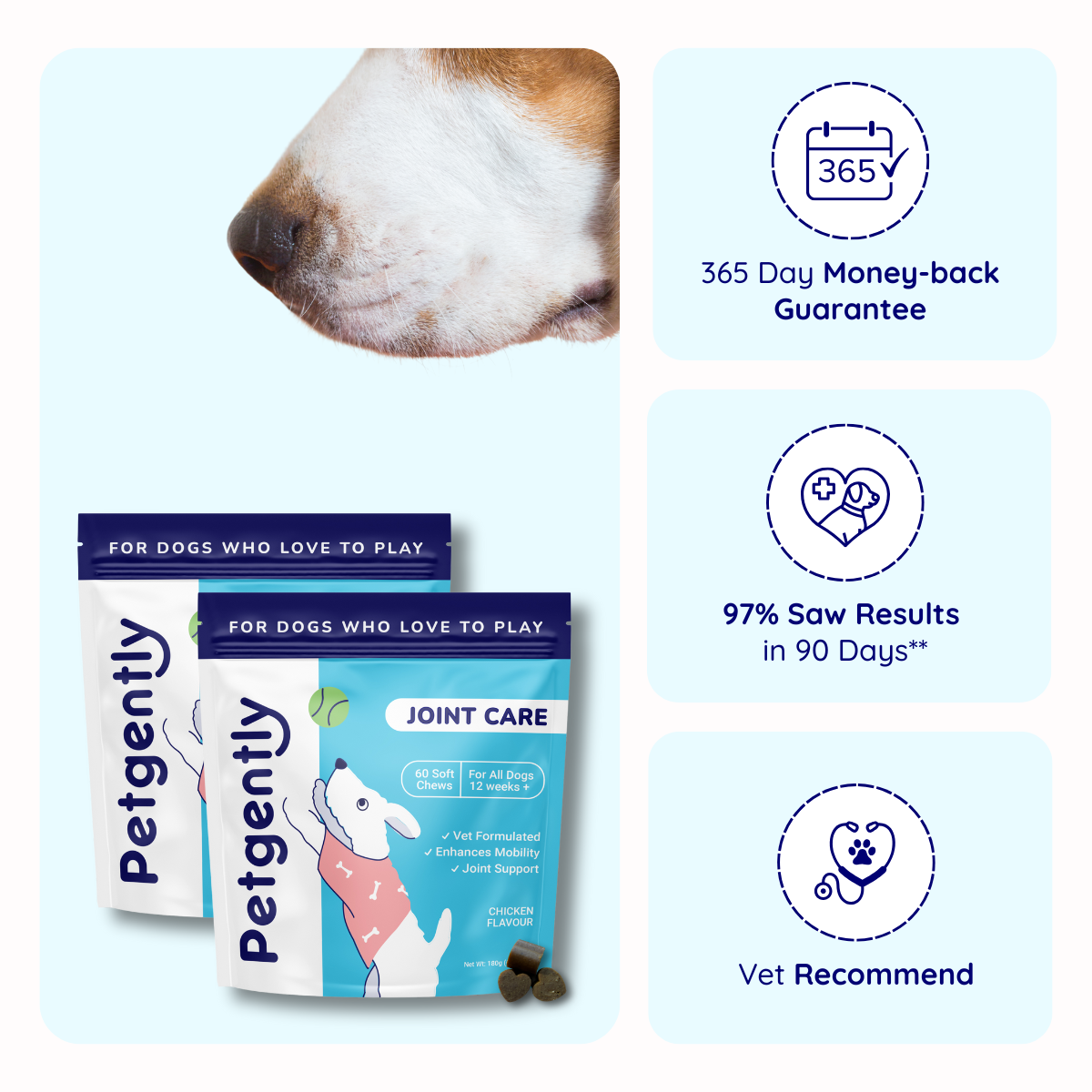 Joint Care Dog Chews -