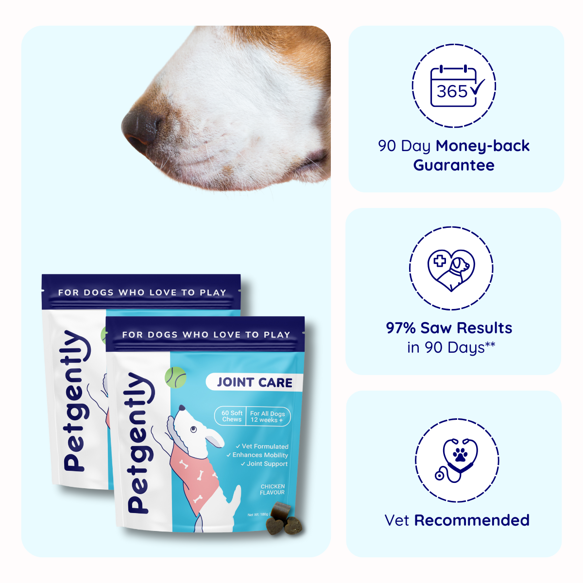 Joint Care Dog Chews - UP