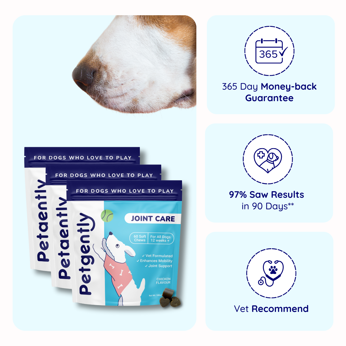 Joint Care Dog Chews -