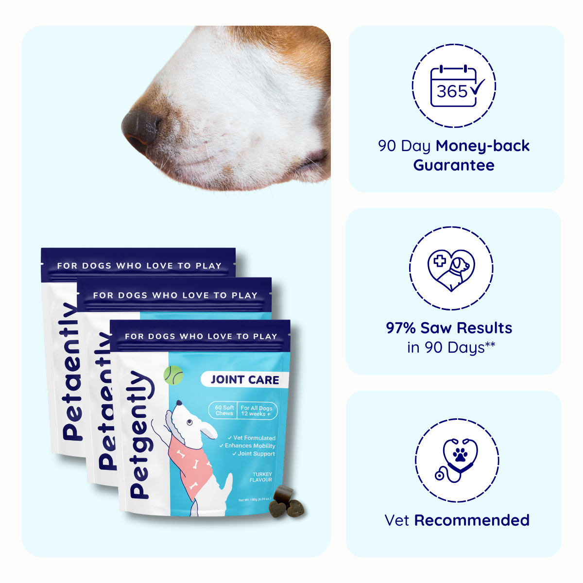 Joint Care Dog Chews -