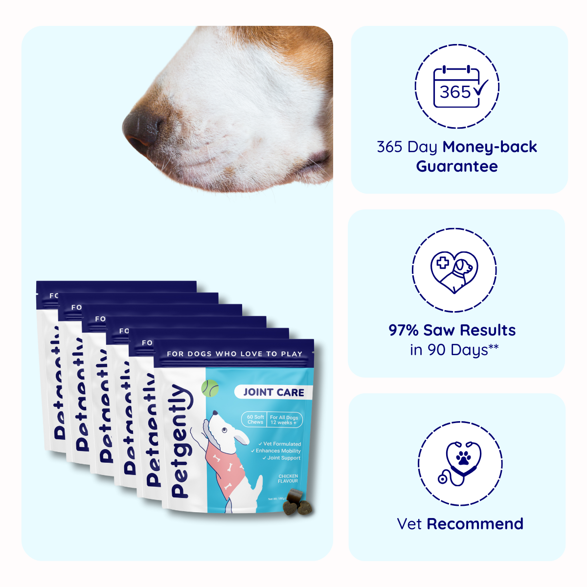 Joint Care Dog Chews -