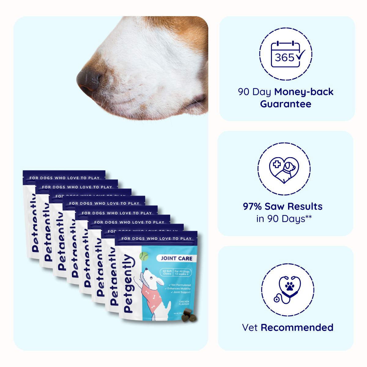 Joint Care Dog Chews *