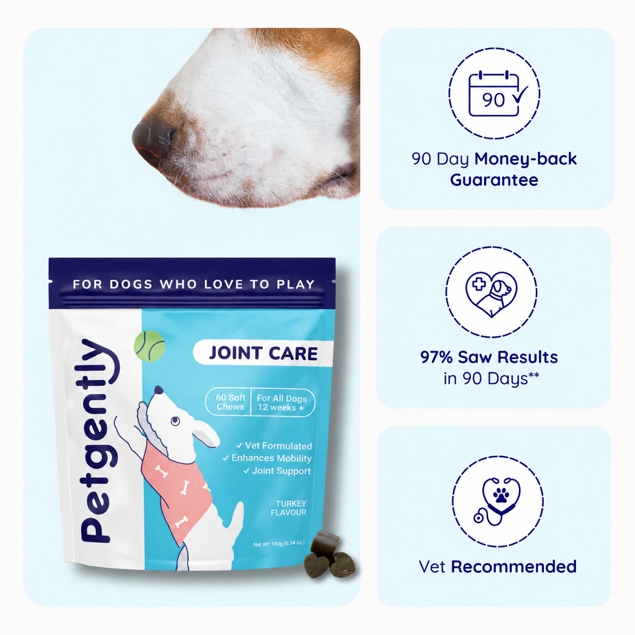 Dog joint care supplements with promotional free gift offer.