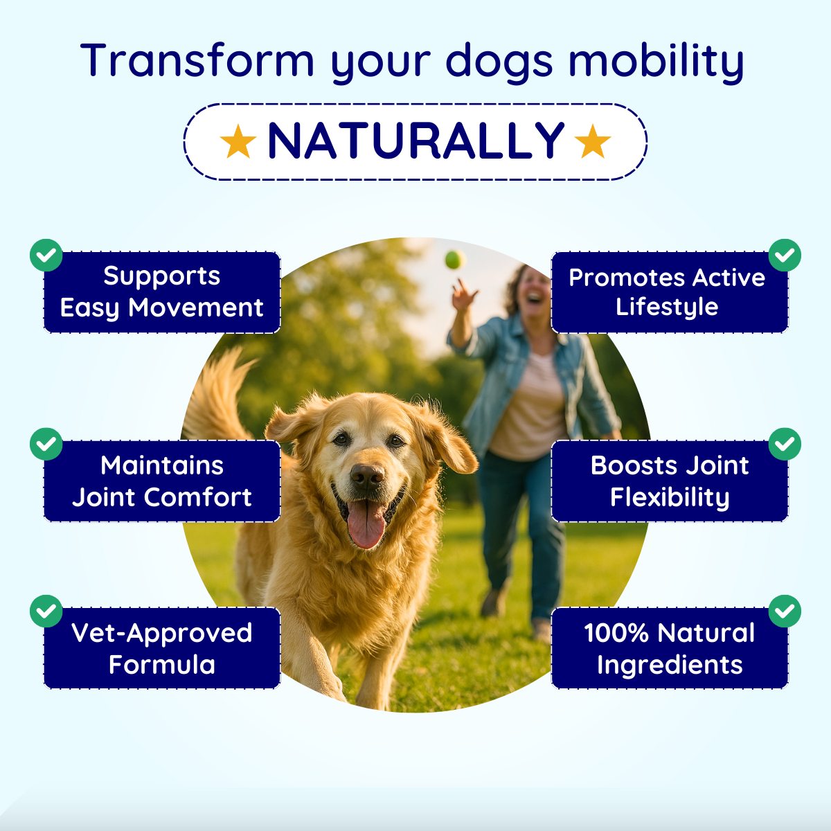 Joint Care Dog Chews -