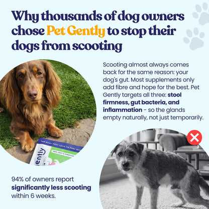 Anal Gland, Skin, Coat, & Digestive Support Chews*