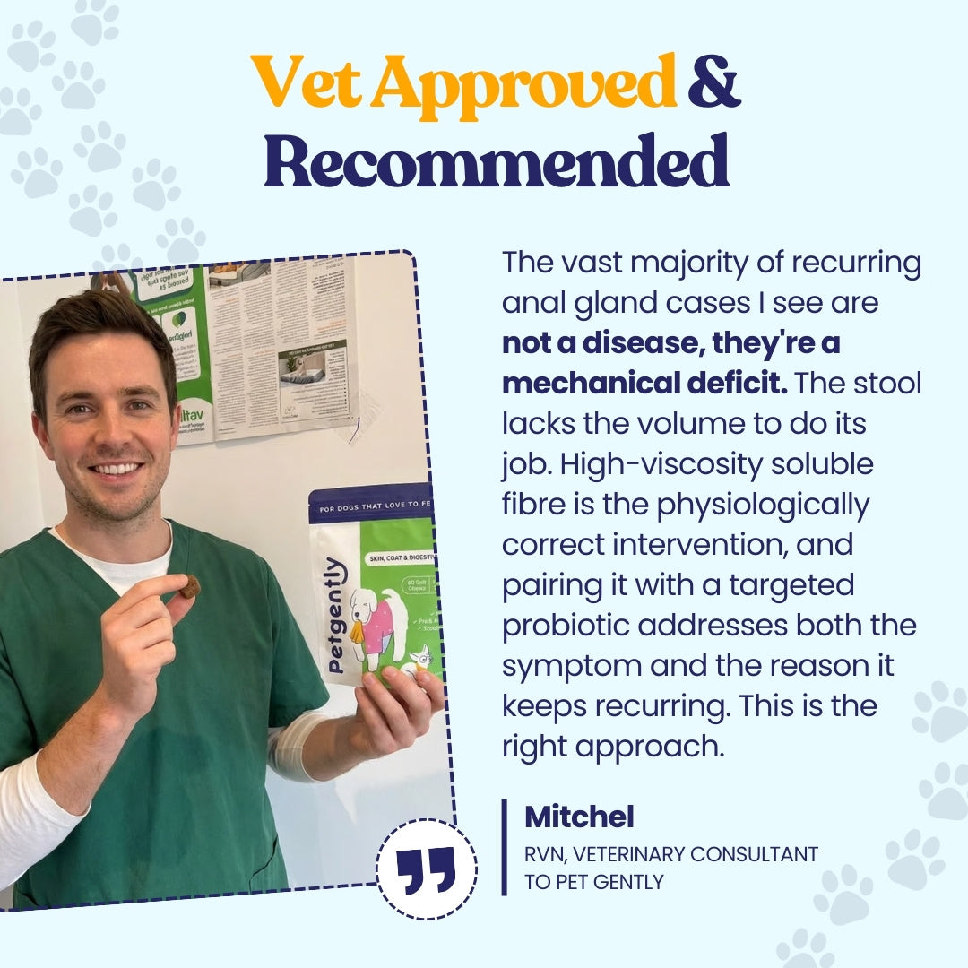 Anal Gland, Skin, Coat, & Digestive Support Chews*