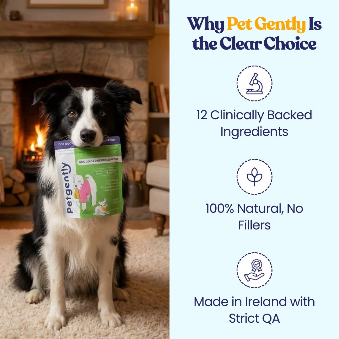 Anal Gland, Skin, Coat, & Digestive Support Chews*