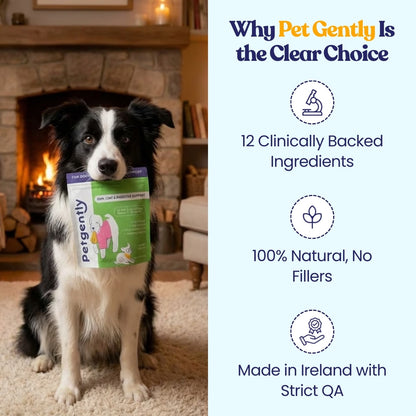 Anal Gland, Skin, Coat, & Digestive Support Chews*