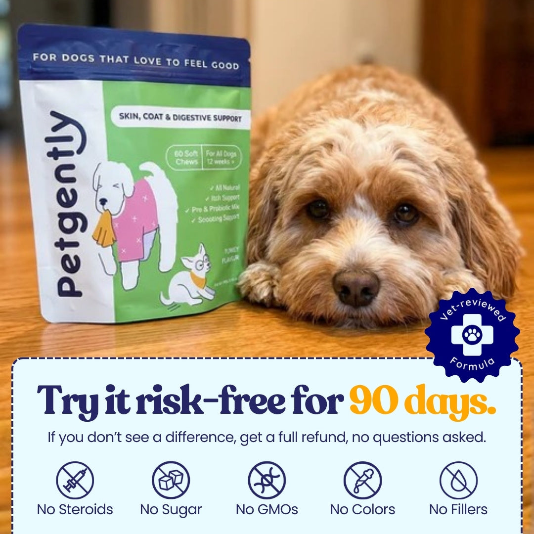 Anal Gland, Skin, Coat, & Digestive Support Chews*