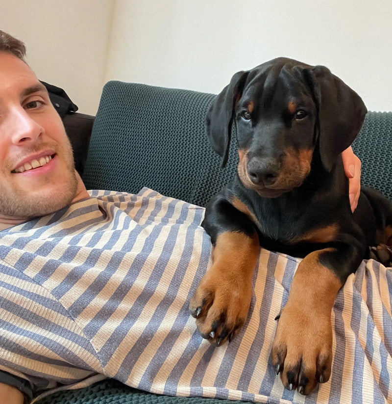 The 60-Second Dog Joint Health Check.