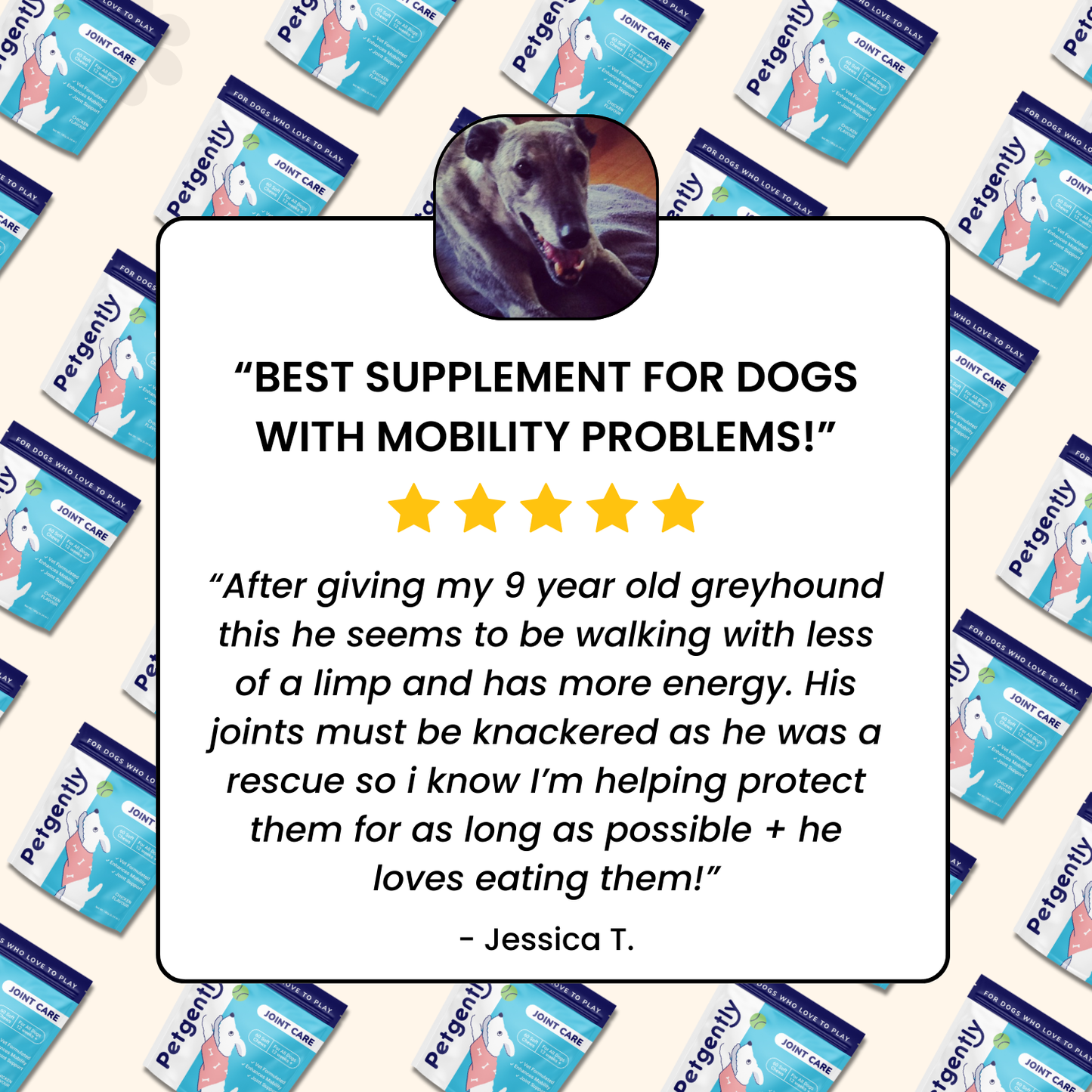 Joint Care Dog Chews -