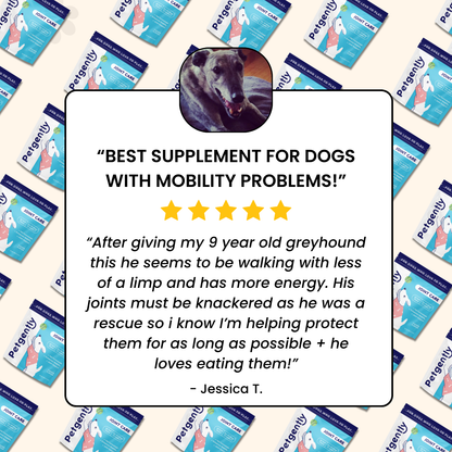 Joint Care Dog Chews -