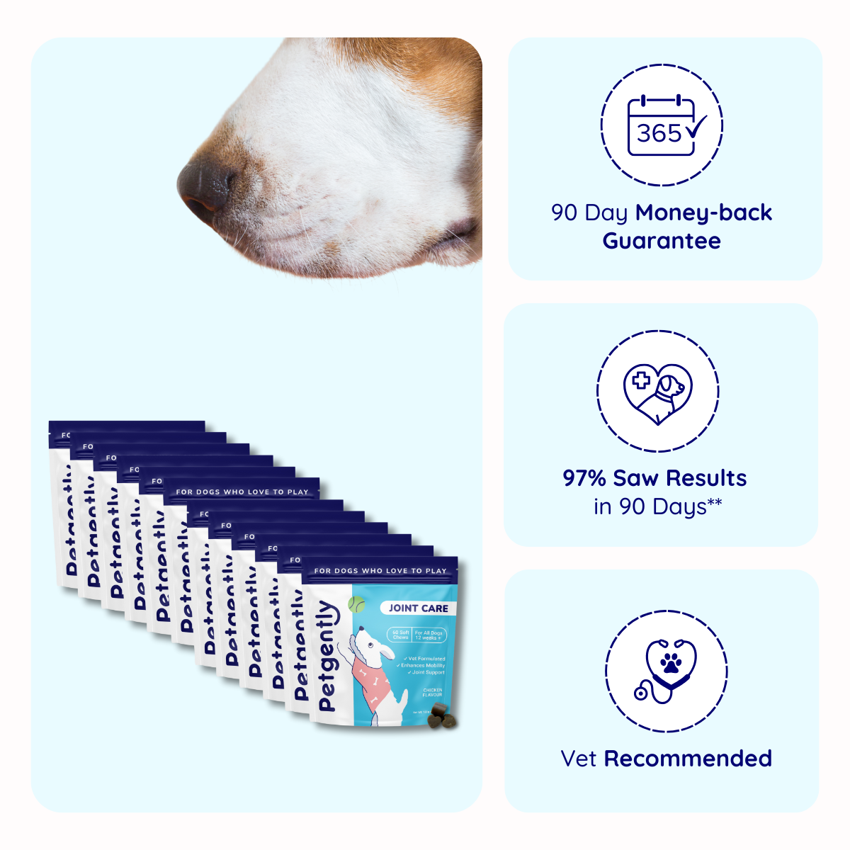 Joint Care Dog Chews