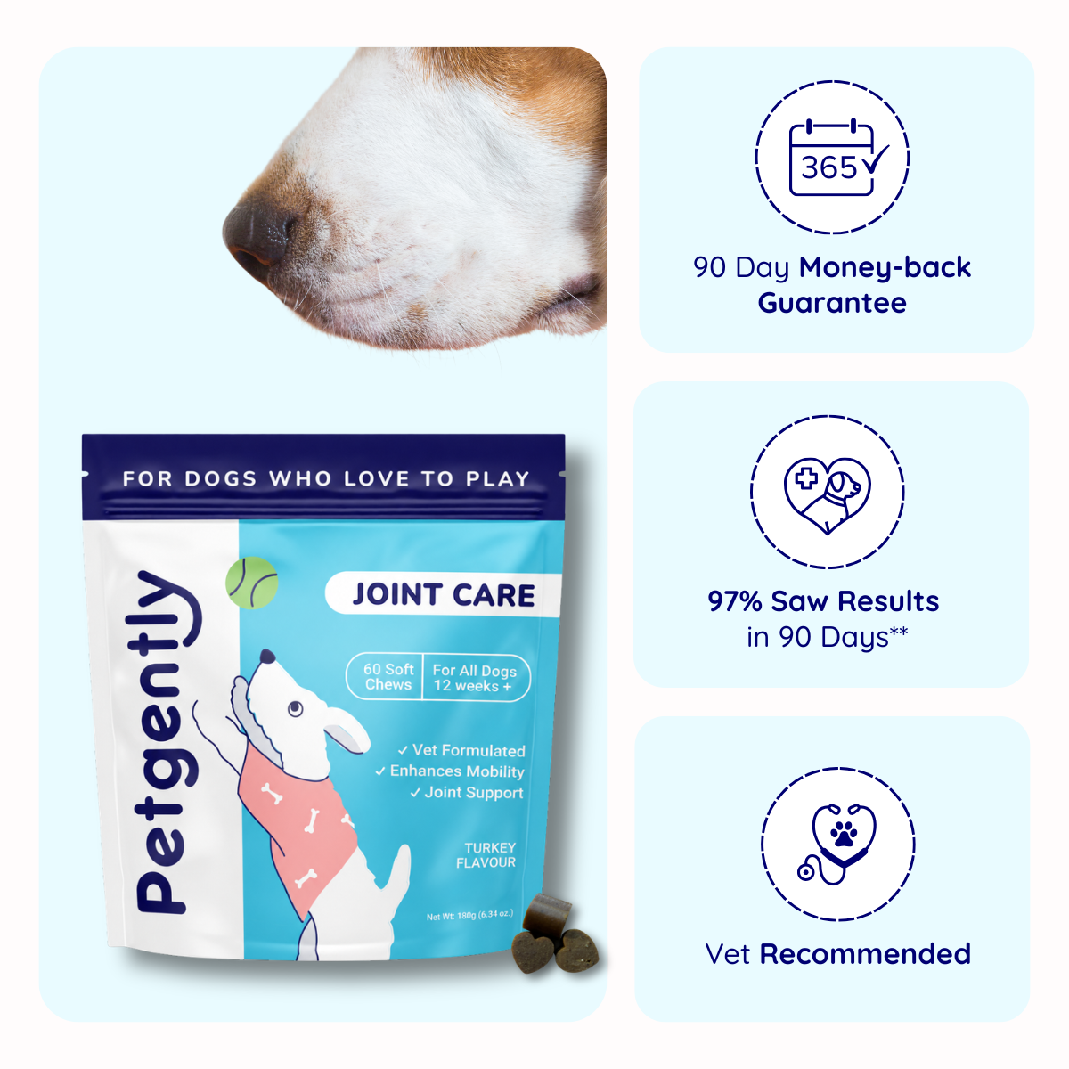 Dog joint care supplements with promotional free gift offer.