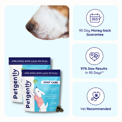 Joint Care Dog Chews