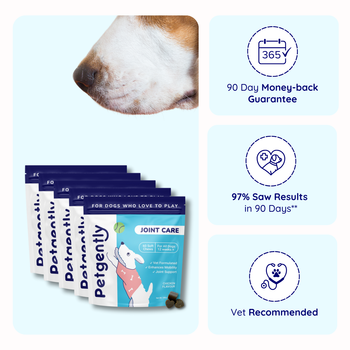 Joint Care Dog Chews