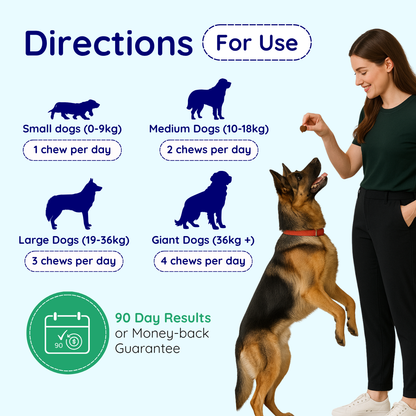 Allergy & Anal Gland Dog Chews