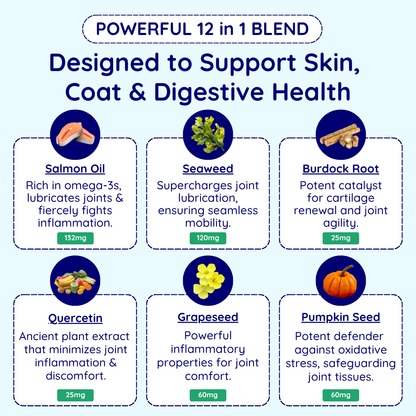 Allergy & Anal Gland Dog Chews