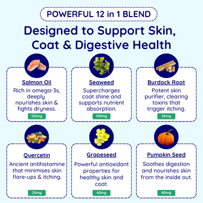 Skin, Coat, & Digestive Support Chews*