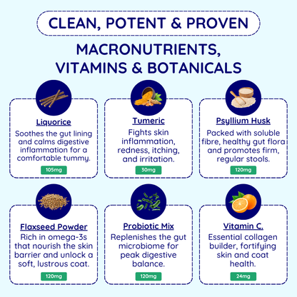 Skin, Coat, & Digestive Support Chews*