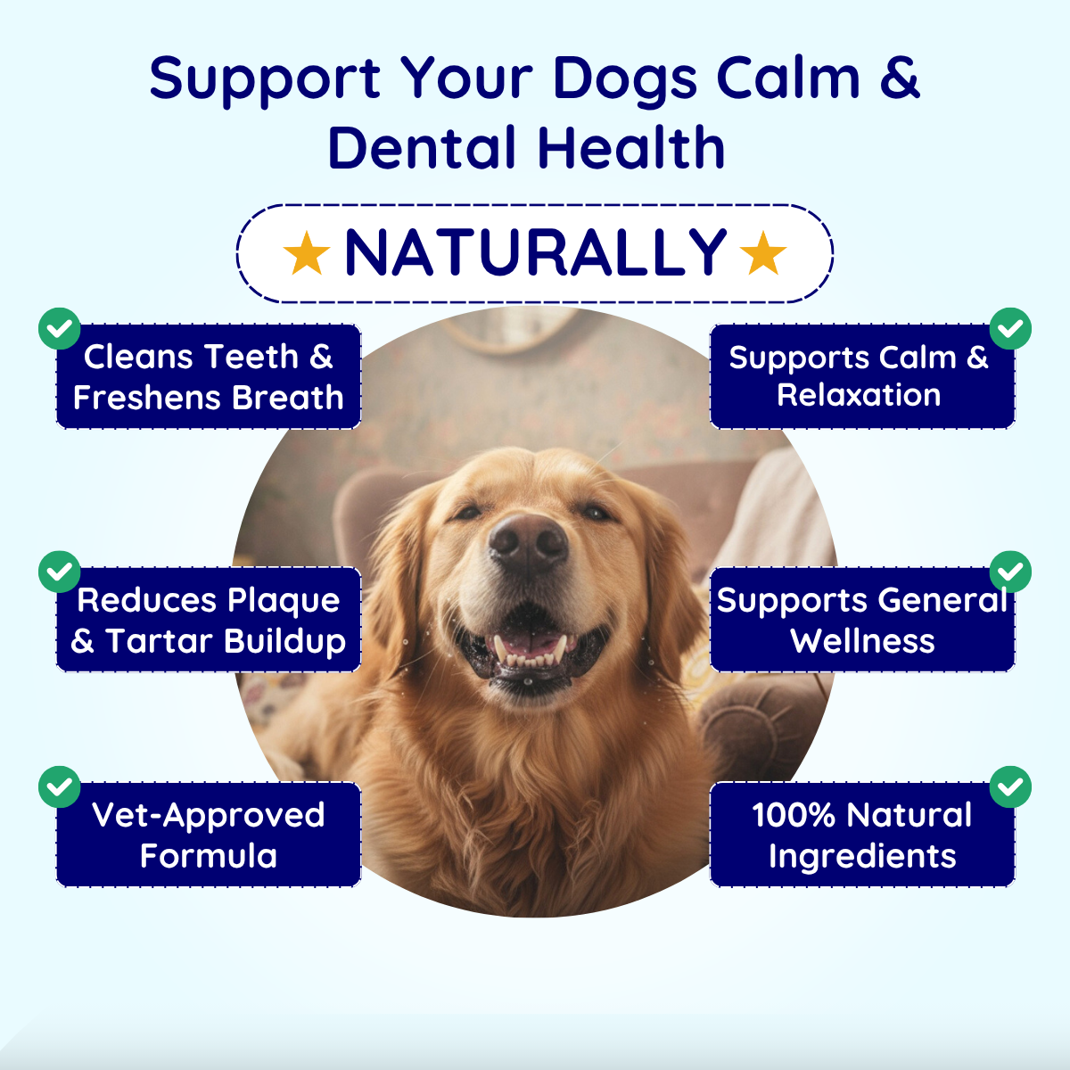 Dental Calm Chews