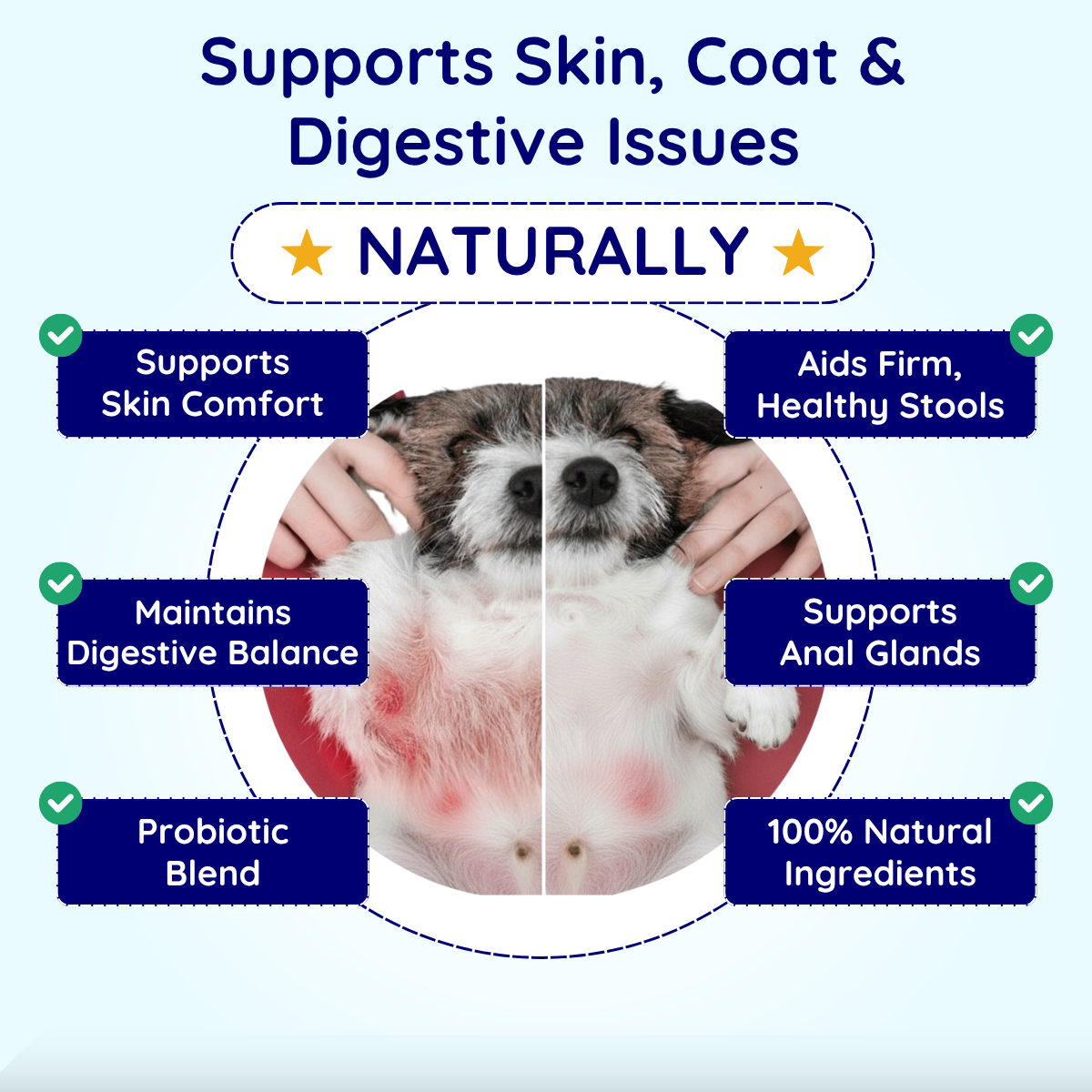 Allergy & Anal Gland Dog Chews