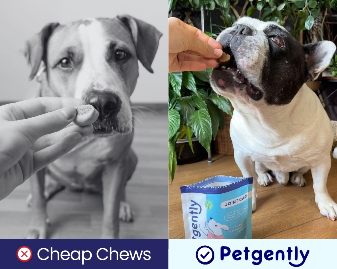 [REPLACE: PetGently chews vs a single-ingredient supplement]