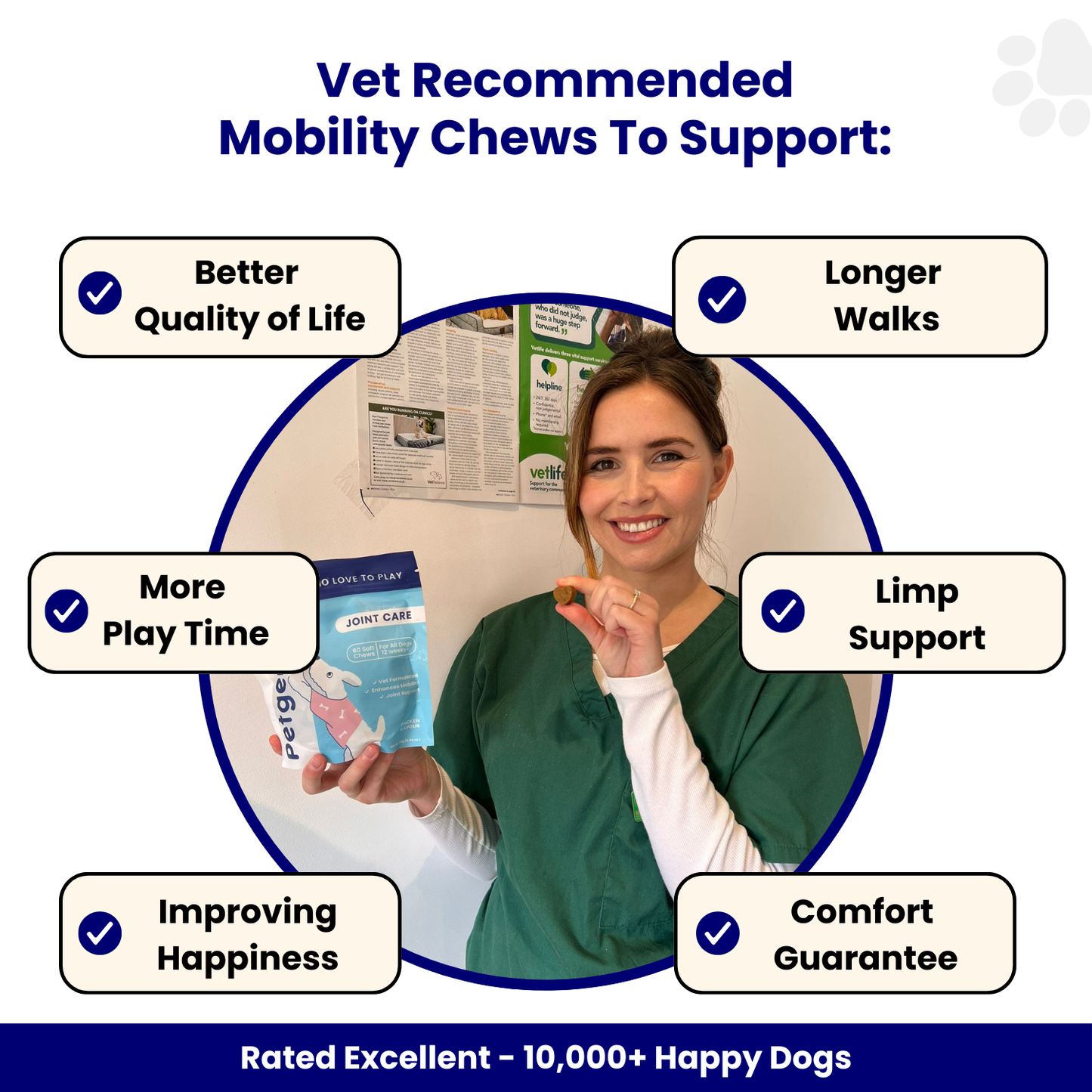 Joint Care Dog Chews -