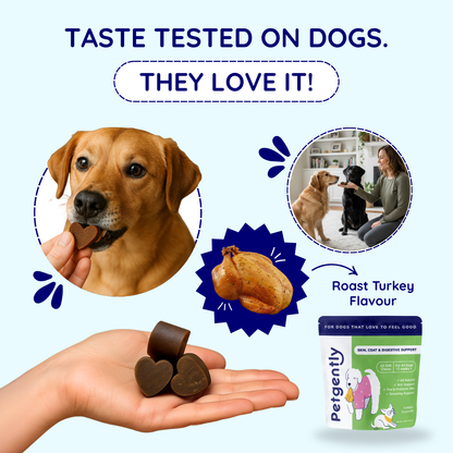 Allergy & Anal Gland Dog Chews